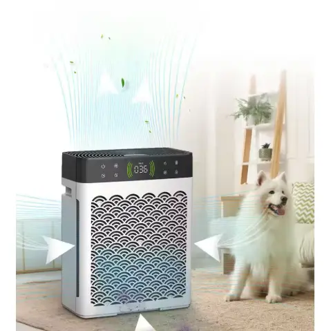 Activated Carbon Filters များဖြင့် UV Air purifiers များ